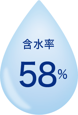 含水率58％