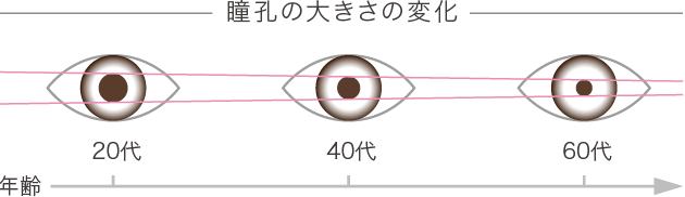 瞳孔の大きさの変化