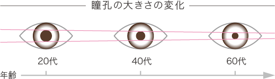 瞳孔の大きさの変化