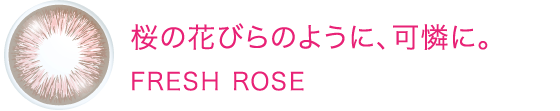 桜の花びらのように、可憐に。FRESH ROSE