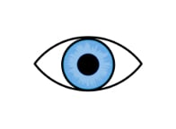 遠近両用コンタクトレンズと「瞳孔」の関係とは？